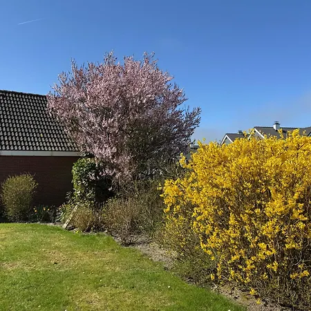 Haus Nordstrand Apartment Busum